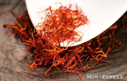 藏红花的副作用太大了：藏红花的副作用太大了，这些危害你一定要知道！