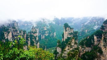 张家界结婚吉日大全:张家界结婚吉日大全,让婚礼与天地共鸣