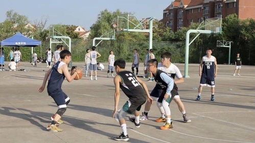 黄道吉日2023年:2023年黄道吉日全攻略,择吉日与传统文化的现代传承 黄道吉日2023年:2023年黄道吉日全攻略,择吉日与传统文化的现代传承