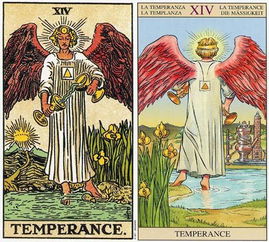 塔罗牌的结果一定准吗吗：塔罗牌的结果一定准吗？从理性与信仰的双重角度解读