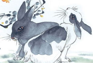 兔子结婚的吉日有哪些:属兔新人婚嫁吉日指南,传统与现代择日方法解析