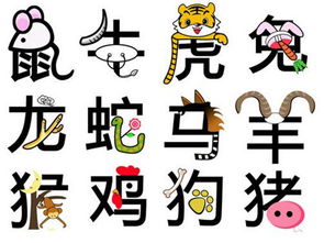 十二生肖婚姻最佳搭配表：十二生肖婚姻最佳搭配表，科学解读+传统智慧，助你找到命中注定的缘分