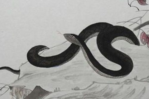 88年属蛇姻缘测试免费:1988年属蛇人姻缘测试,揭开你命中注定的缘分!免费版) 88年属蛇姻缘测试免费:1988年属蛇人姻缘测试,揭开你命中注定的缘分!免费版)