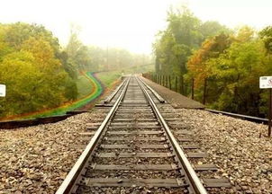 塔罗牌占卜者抽牌正常吗:塔罗牌占卜者抽牌正常吗?解析塔罗占卜的随机性与主观性