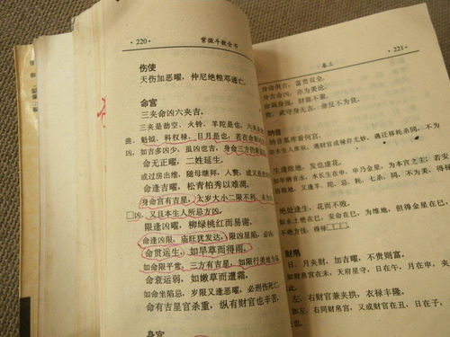 邵子神数免费算命网：邵子神数免费算命网，千年预测智慧如何开启你的运势密码？