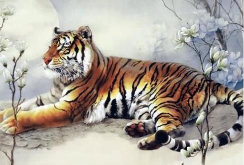 女人梦见老虎靠近自己：梦里老虎靠近，她醒了…