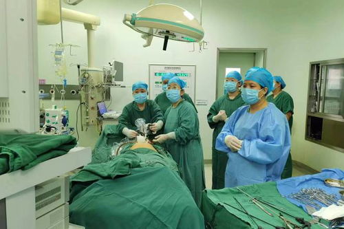 妇科私人医院跟正规医院哪个好:妇科私人医院与正规医院,哪个更适合您的诊疗需求? 妇科私人医院跟正规医院哪个好:妇科私人医院与正规医院,哪个更适合您的诊疗需求?