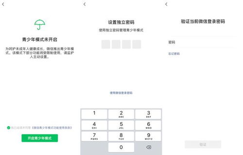 解签文输入签文:从神秘符号到智慧密码,解签文输入签文的完整指南
