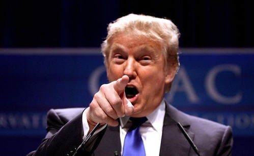 特朗普被曝考虑提前宣布竞选总统：特朗普被曝考虑提前宣布竞选总统，引发政治圈震动与猜测