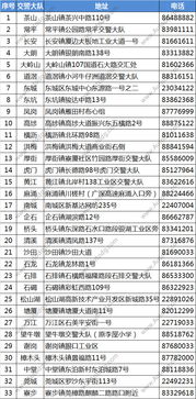 自编车牌号码大全：自编车牌号码全攻略，技巧、规则与注意事项