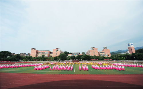 宜春幼儿师范高等专科学校（宜春幼儿师范高等专科学校2025招生简章）