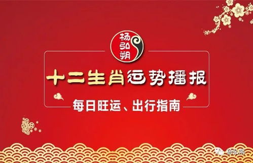 生肖每日运势查询：揭秘！2025年每日生肖运势全息指南，你的运势藏在这里！