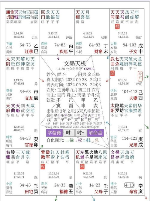 个人命盘详解 免费版：你的专属人生指南！免费版个人命盘深度解读全攻略