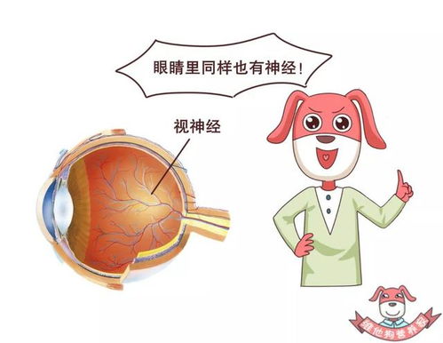 糖尿病的早期症状:警惕身体发出的信号!这些可能是糖尿病的早期症状