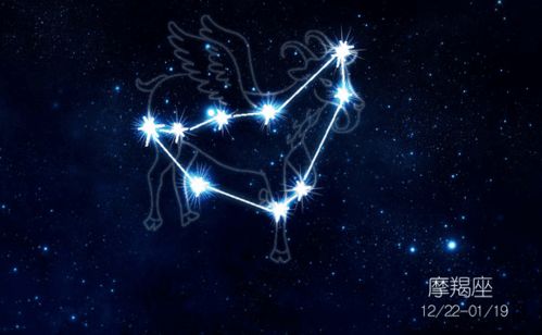 十二星座专属魂兽:十二星座×千年魂兽,占星学中的神秘契约与灵魂共鸣