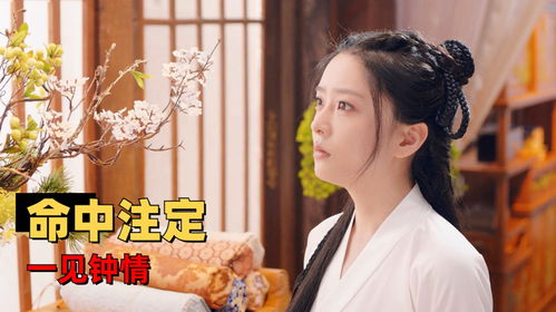 姻缘大人请留步结局解释:姻缘大人请留步结局揭秘,命中注定还是放手随缘?