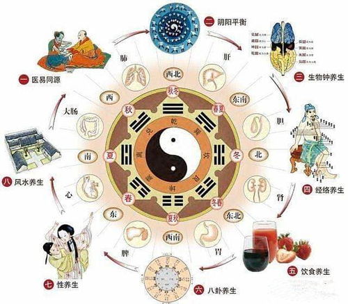 2023年十二生肖运势:2023年十二生肖运势全解析,吉凶祸福早知早准备,把握流年机遇