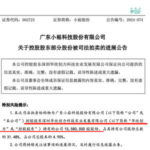 小崧股份:广东小崧科技股份有限公司关联交易制度(2025年11月修订)