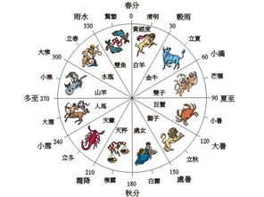 十二时辰对照时间表:十二时辰对照时间表,穿越千年的生物钟密码与现代生活指南