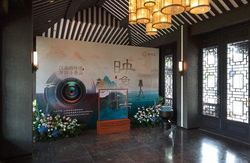 zm映像工作室:光影之间,定格永恒,zm映像工作室的艺术之旅