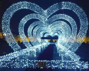 zm映像工作室:光影之间,定格永恒,zm映像工作室的艺术之旅 zm映像工作室:光影之间,定格永恒,zm映像工作室的艺术之旅