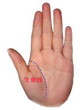 扫一扫掌纹手相:扫一扫掌纹手相,解码生命密码,解锁未来运势的智慧钥匙 扫一扫掌纹手相:扫一扫掌纹手相,解码生命密码,解锁未来运势的智慧钥匙