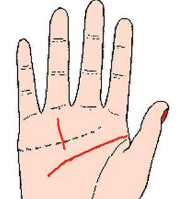 扫一扫掌纹手相:扫一扫掌纹手相,解码生命密码,解锁未来运势的智慧钥匙