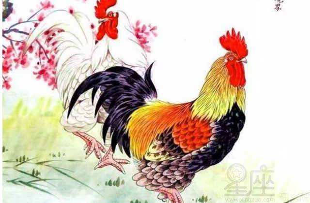 93年属什么：1993年出生属什么？生肖属猴还是属鸡？93年人的性格解析与运势指南