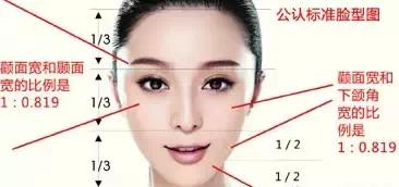 面相学五官分析:面相学五官分析,从眉眼鼻唇耳看人生运势与性格特质