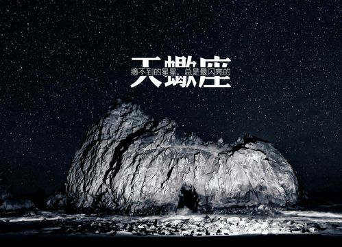 追天蝎女的大忌:追天蝎女必知的三大禁忌,别让真诚反成伤害 追天蝎女的大忌:追天蝎女必知的三大禁忌,别让真诚反成伤害