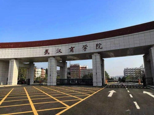 武汉商学院（武汉商学院是民办还是公办）
