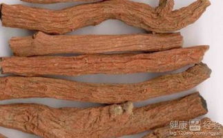 丹参主要治什么病：丹参，传统中药的现代应用与疾病治疗