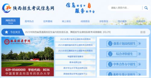 考试招生网官网（广西考试招生网官网）