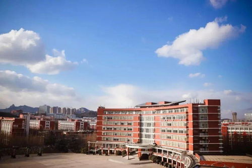 青岛职业技术学院官网(青岛职业技术学院官网首页)