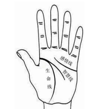 男的姻缘线在哪里图解:男的姻缘线在哪里?手相图解全解析 男的姻缘线在哪里图解:男的姻缘线在哪里?手相图解全解析