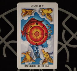 塔罗牌对男生有效果吗你：塔罗牌对男生有效果吗？理性看待塔罗牌的力量