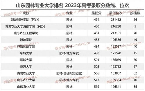 高考录取分数线排行榜(高考录取分数线排行榜2023年)