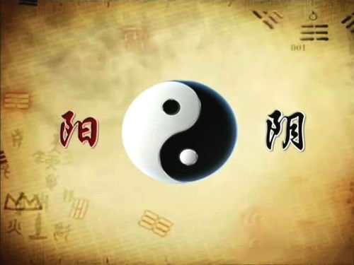 六爻起卦后如何解卦：六爻起卦后如何解卦，从卦象到决策的完整解析