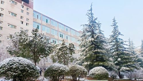 职业技术学校前十名（职业技术学院3十2,全国排名前十）