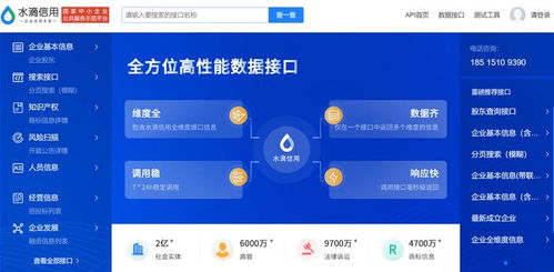 公司企业名称查询：企业名称查询全攻略，高效获取工商信息，助力商业决策与风险防范