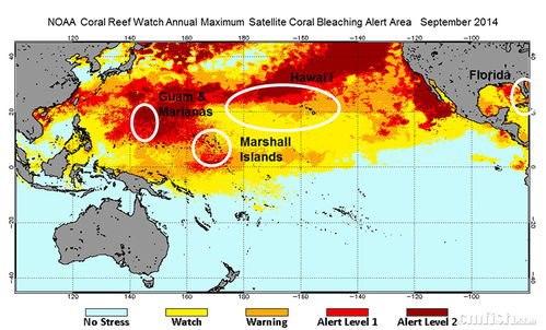 美州长反复称中国气候治理有远见
