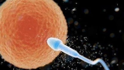 刚受孕成功后白带图片:刚受孕成功后白带变化,了解身体信号,安心等待孕期 刚受孕成功后白带图片:刚受孕成功后白带变化,了解身体信号,安心等待孕期