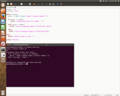编写一个程序：这是一个简单的 Python 程序