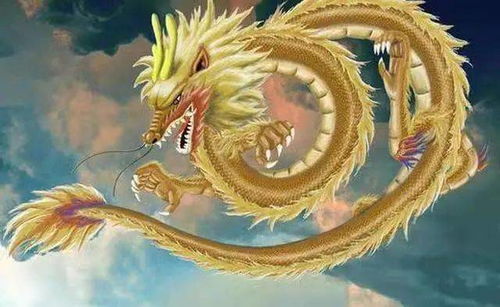 属龙的2023年有三喜：属龙人2023年鸿运当头！三重吉兆开启人生新篇章