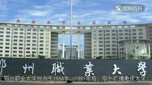 鄂州职业大学(鄂州职业大学助学金)