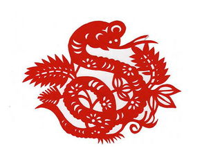 免费算命1977年蛇的：1977年属蛇人免费命理解析，性格特质与运势趋势全公开