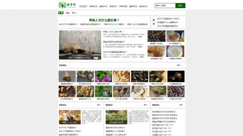 织梦导航源码：织梦导航源码，高效搭建个性化网站导航的完美选择