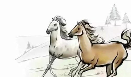 属马腊月结婚吉日:属马人腊月结婚吉日全解析,传统婚嫁指南助你喜结良缘 属马腊月结婚吉日:属马人腊月结婚吉日全解析,传统婚嫁指南助你喜结良缘