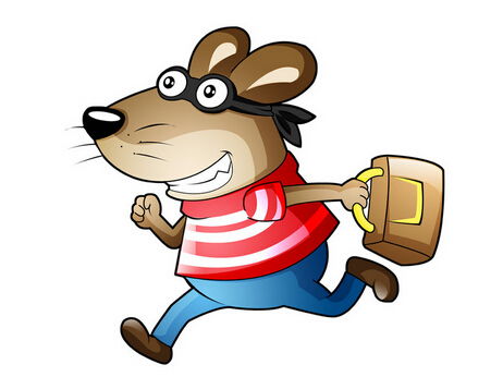 属鼠人2022年全年运势运程：属鼠人2022年全年运势解析，机遇与挑战并存，这三大领域需重点关注