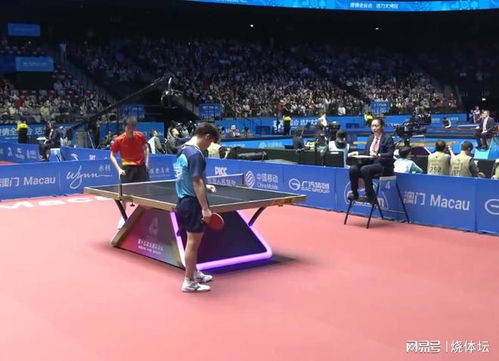 全运会一场能看到国乒6位世界冠军